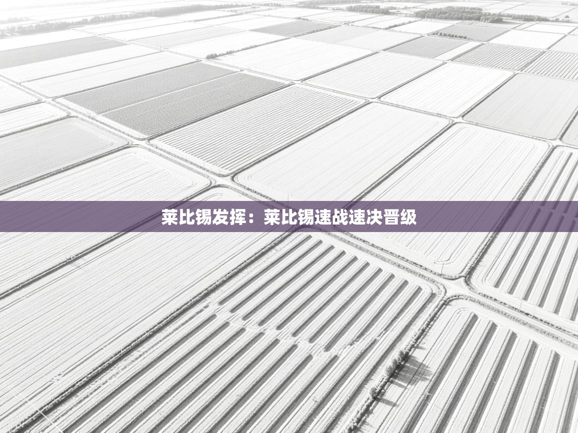 莱比锡发挥：莱比锡速战速决晋级