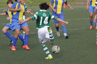 九游官网入口活动-女篮亚洲杯中国队力压日本夺冠，亚洲杯女子篮球赛中国对日本  第2张